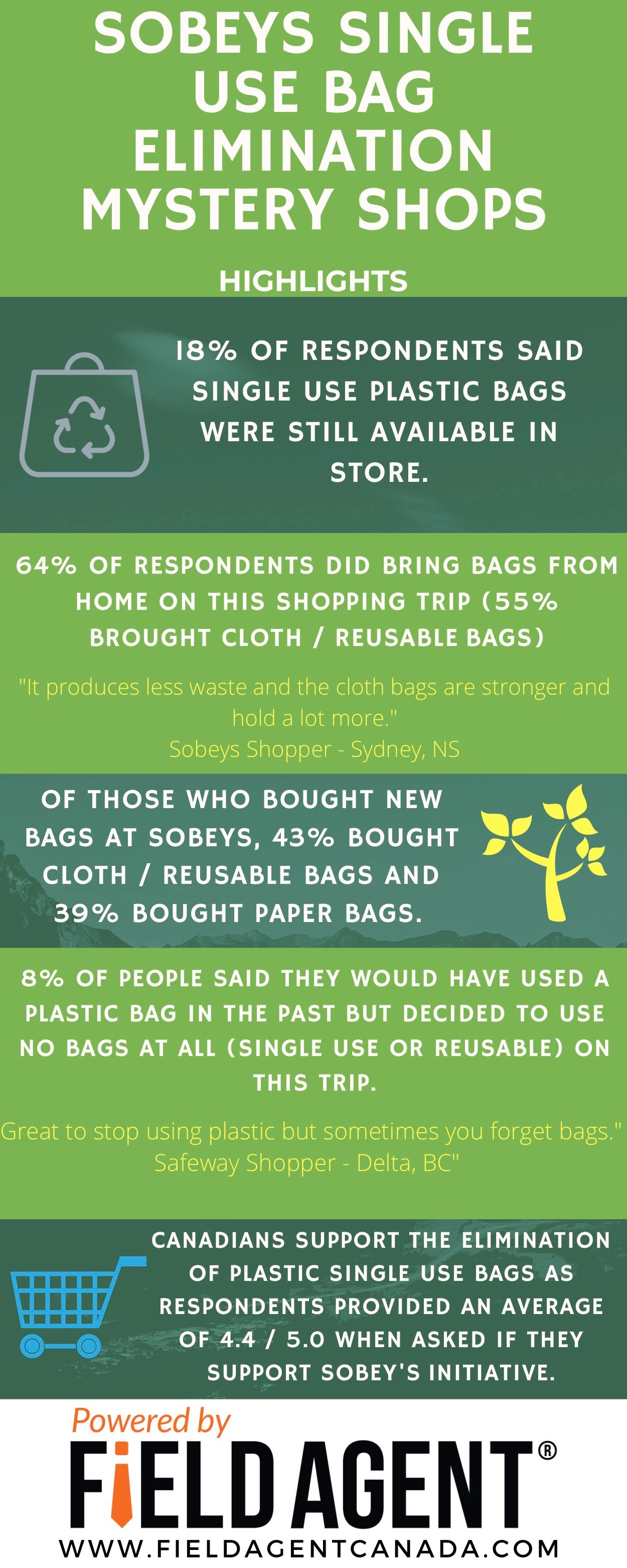 Sobeys Plastic Bag Elimination What do Canadians think about it?